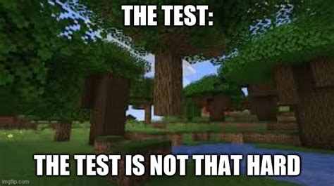 the test isn't that hard minecraft edition|The Test isn't that hard, the test: .